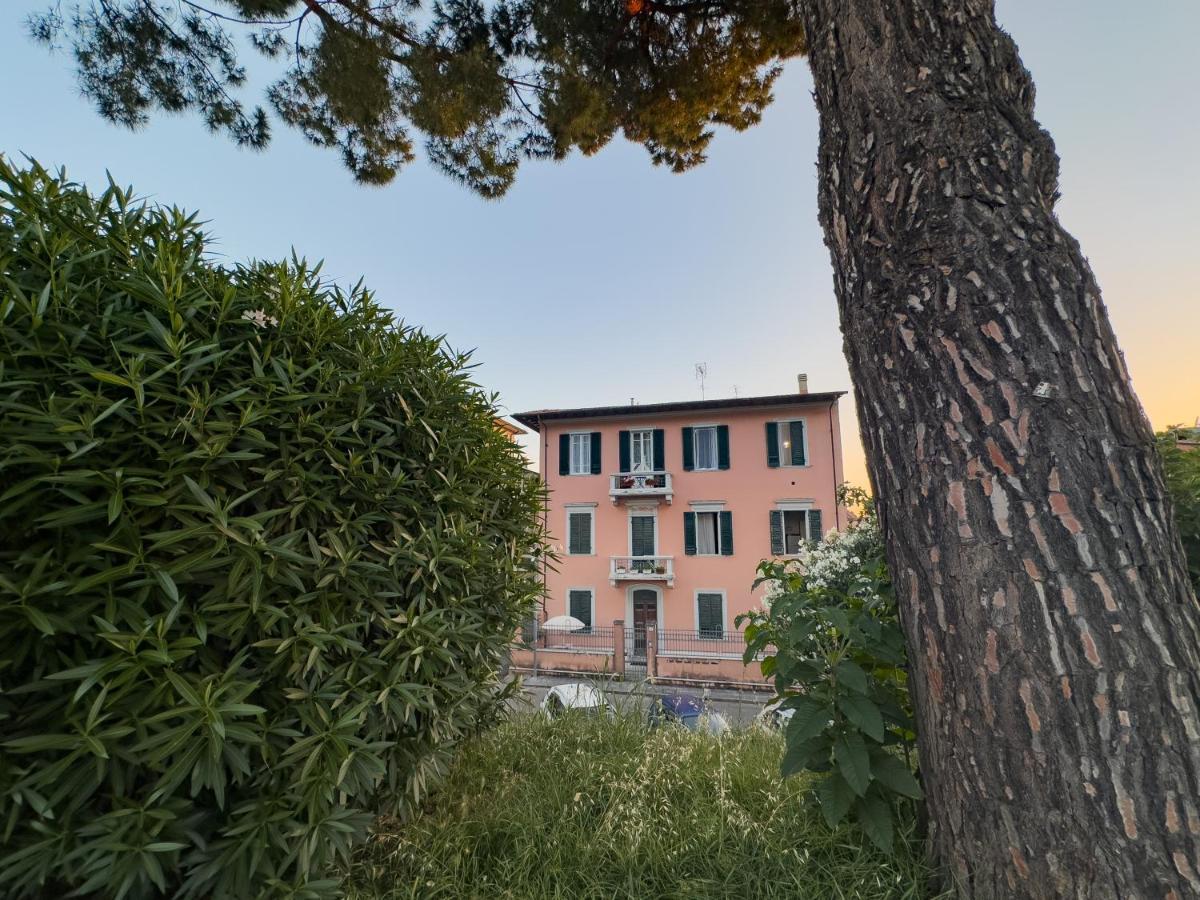 La Casa Di Eli Appartamenti Pisa Exterior photo